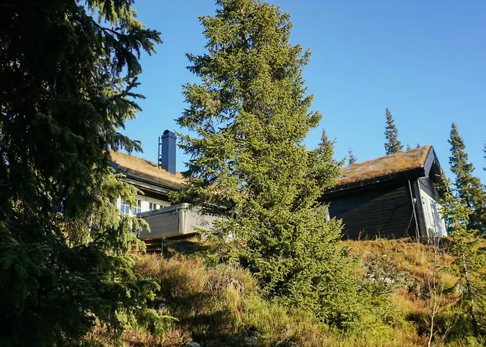 Family With Hot Tub At Skeikampen Vakantiehuis Svingvoll
