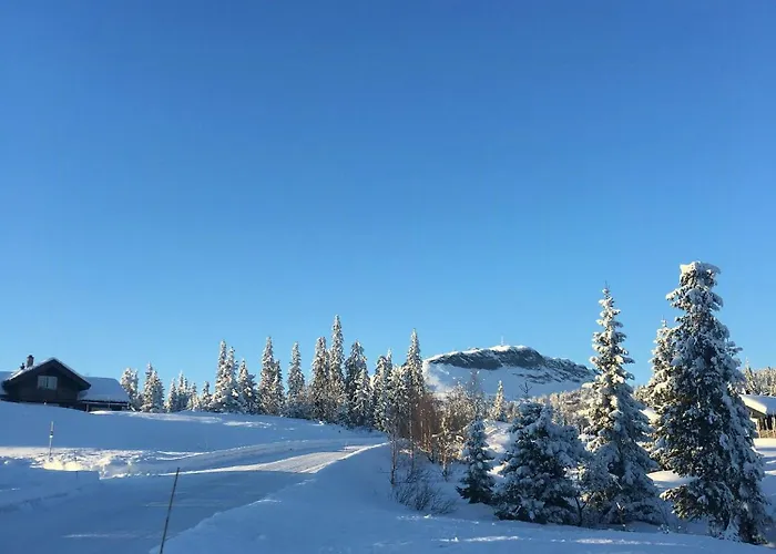 Family With Hot Tub At Skeikampen Svingvoll